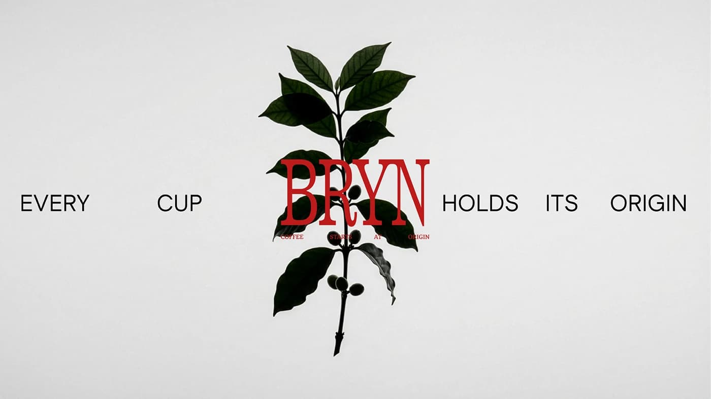 BRYN — Coffee House — Every Cup Holds Its Origin